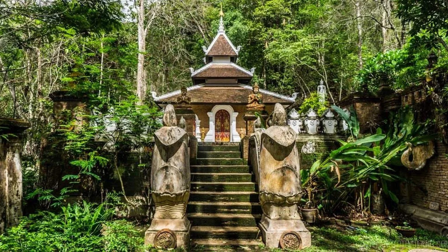 The Secret Forest Temples of Chiang Mai: How to Hike the Monk's Trail to Wat Pha Lat and Wat Umong